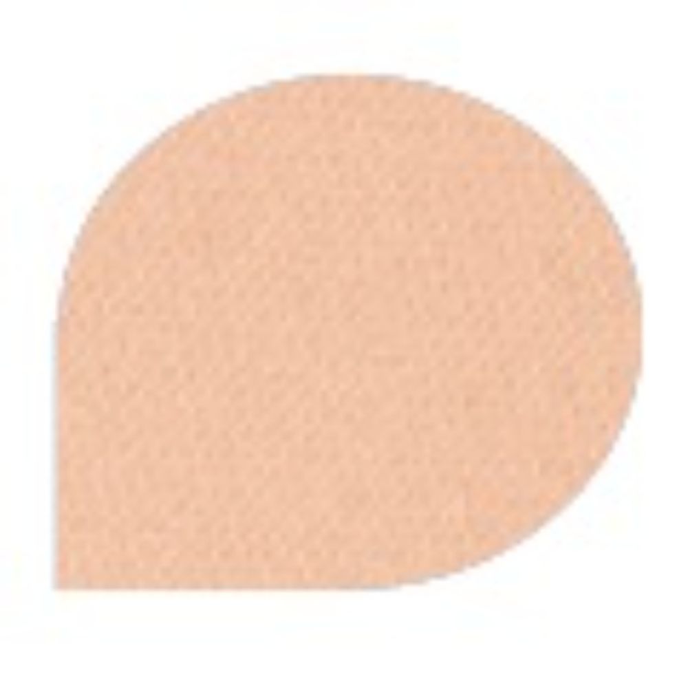 Paese Transparent Matte Powder 9 g